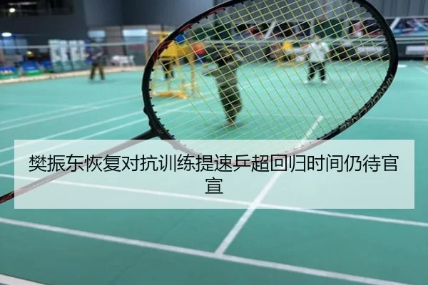 樊振东恢复对抗训练提速乒超回归时间仍待官宣