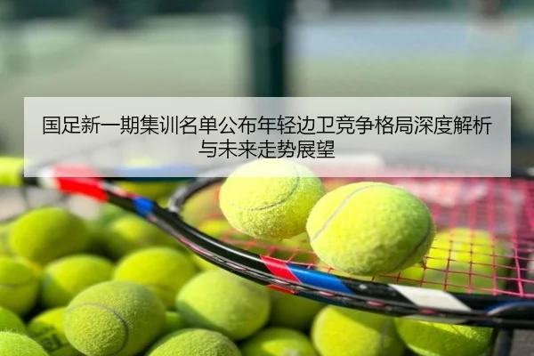 国足新一期集训名单公布年轻边卫竞争格局深度解析与未来走势展望